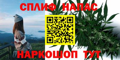 дживик Будённовск