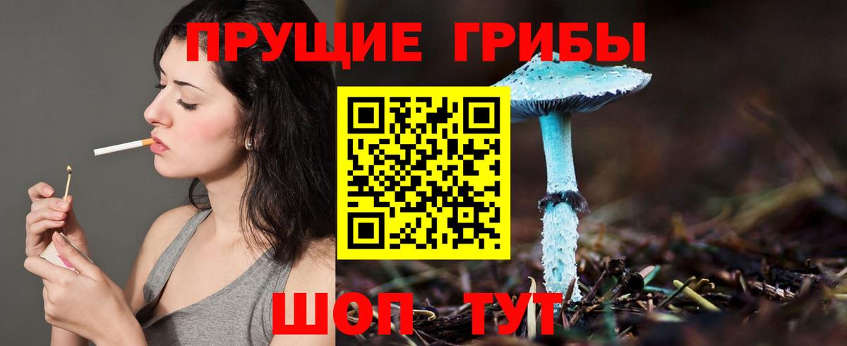 Балахна  Псилоцибиновые грибы GOLDEN TEACHER  Псилоцибиновые грибы MAGIC MUSHROOMS  Вход с VPN 